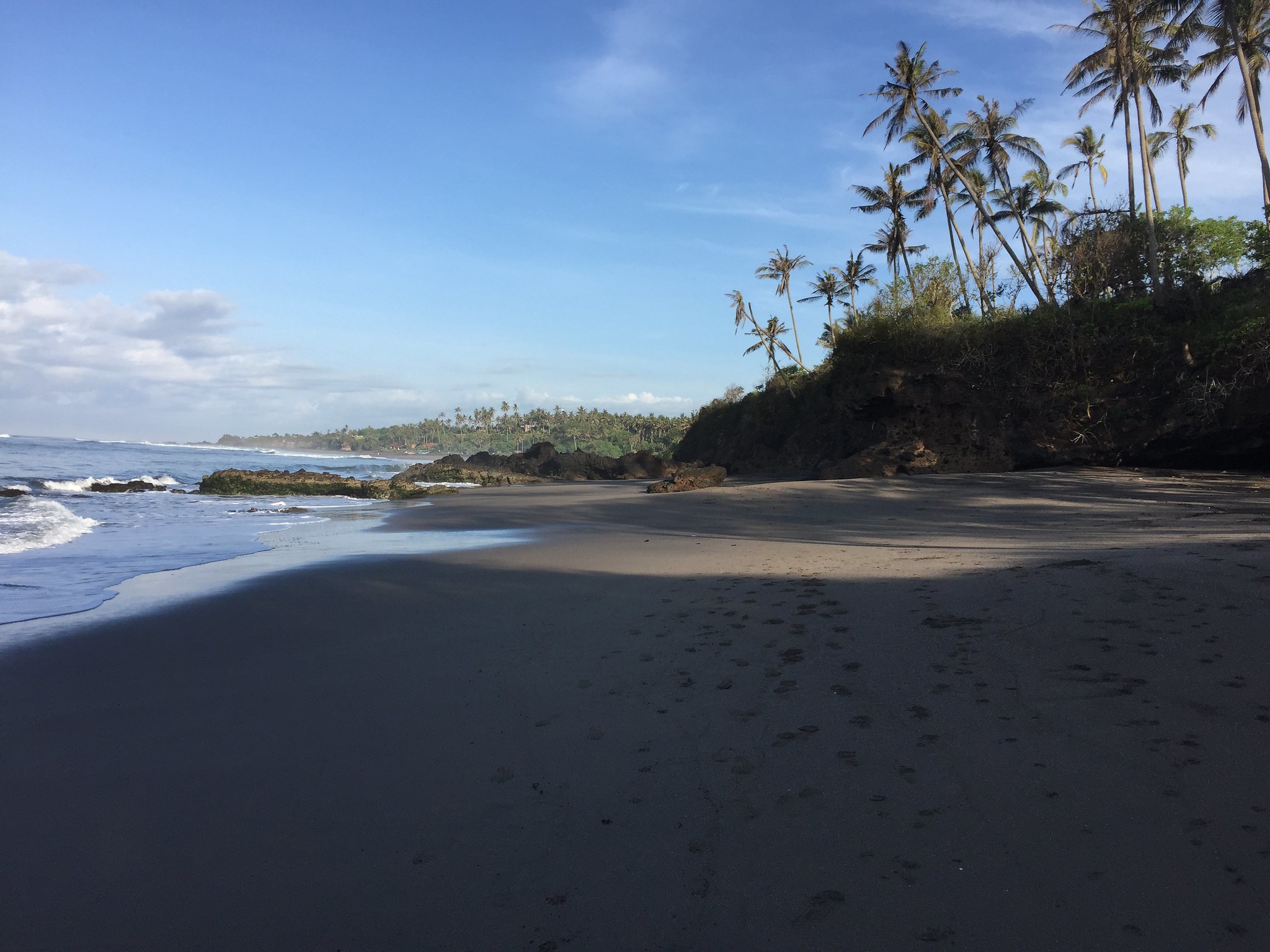 Login Full Background